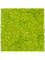 Картина из мха aluminum 100% reindeer moss 120/120/6 (spring green) - фото 72213