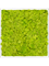 Картина из мха aluminum 100% reindeer moss 60/60/6 (spring green) - фото 72220