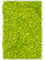 Картина из мха aluminum 100% reindeer moss 80/120/6 (spring green) - фото 72222
