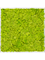 Картина из мха aluminum 100% reindeer moss 80/80/6 (spring green) - фото 72223