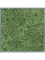 Картина из мха mdf ral 7016 satin gloss 100% reindeer moss (moss green) - фото 72275