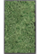 Картина из мха mdf ral 9005 satin gloss 100% reindeer moss (moss green) - фото 72302