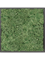 Картина из мха mdf ral 9005 satin gloss 100% reindeer moss (moss green) - фото 72303