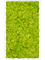 Картина из мха mdf ral 9010 satin gloss 100% reindeer moss (spring green) - фото 72328