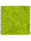 Картина из мха mdf ral 9010 satin gloss 100% reindeer moss (spring green) - фото 72329