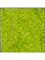 Картина из мха stiel l ral 7016 matt 100% reindeer moss (spring green) - фото 72340