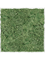 Картина из мха stiel l ral 9010 matt 100% reindeer moss (moss green) - фото 72353