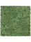 Картина из мха stiel l ral 9010 matt 100% reindeer moss (moss green) - фото 72354
