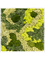 Картина из мха mdf ral 9010 satin gloss 30% ball moss 70% reindeer moss mix 100/100/6 (искусственная) Nieuwkoop Europe - фото 72371