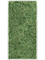Картина из мха aluminum 100% reindeer moss green 60/120/6 (искусственная) Nieuwkoop Europe - фото 72390