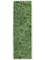 Картина из мха aluminum 100% reindeer moss green 40/120/6 (искусственная) Nieuwkoop Europe - фото 72391