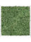 Картина из мха aluminum 100% reindeer moss green 40/40/6 (искусственная) Nieuwkoop Europe 20031 - фото 72393