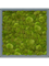 Картина из мха mdf ral 7016 satin gloss 100% ball moss (искусственная) Nieuwkoop Europe 20035 - фото 72398