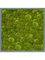Картина из мха mdf ral 7016 satin gloss 100% ball moss (искусственная) Nieuwkoop Europe 20035 - фото 72399