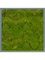 Картина из мха mdf ral 7016 satin gloss 100% flat moss (искусственная) Nieuwkoop Europe 20036 - фото 72402