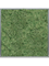 Картина из мха mdf ral 7016 satin gloss 100% reindeer moss green (искусственная) Nieuwkoop Europe - фото 72406