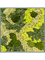 Картина из мха mdf ral 7016 satin gloss 30% ball moss 70% reindeer moss mix (искусственная) Nieuwkoop Europe 20039 - фото 72410