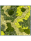 Картина из мха mdf ral 7016 satin gloss 30% ball moss 70% reindeer moss mix (искусственная) Nieuwkoop Europe 20039 - фото 72411