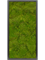 Картина из мха mdf ral 9005 satin gloss 100% flat moss (искусственная) Nieuwkoop Europe 20043 - фото 72414