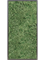 Картина из мха mdf ral 9005 satin gloss 100% reindeer moss green (искусственная) Nieuwkoop Europe - фото 72416