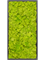 Картина из мха mdf ral 9005 satin gloss 100% reindeer moss spring green (искусственная) Nieuwkoop Europe 20047 - фото 72420