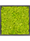 Картина из мха mdf ral 9005 satin gloss 100% reindeer moss spring green 40/40/6 (искусственная) Nieuwkoop Europe - фото 72421