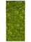 Картина из мха mdf ral 9010 satin gloss 100% ball moss (искусственная) Nieuwkoop Europe - фото 72431
