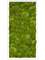 Картина из мха mdf ral 9010 satin gloss 100% ball moss (искусственная) Nieuwkoop Europe, 20054 20054 - фото 72432