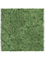 Картина из мха mdf ral 9010 satin gloss 100% reindeer moss green (искусственная) Nieuwkoop Europe - фото 72438