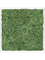 Картина из мха mdf ral 9010 satin gloss 100% reindeer moss green (искусственная) Nieuwkoop Europe, 20057 20057 - фото 72439