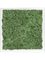 Картина из мха mdf ral 9010 satin gloss 100% reindeer moss green (искусственная) Nieuwkoop Europe, 20057 20057 - фото 72440