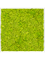 Картина из мха mdf ral 9010 satin gloss 100% reindeer moss spring green (искусственная) Nieuwkoop Europe - фото 72442