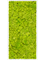 Картина из мха mdf ral 9010 satin gloss 100% reindeer moss spring green (искусственная) Nieuwkoop Europe - фото 72445
