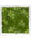 Картина из мха mdf ral 9010 satin gloss 30% ball- and 70% flat moss (искусственная) Nieuwkoop Europe, 20063 20063 - фото 72450