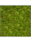 Картина из мха stiel l ral 7016 matt 100% ball moss (искусственная) Nieuwkoop Europe 20066 - фото 72457
