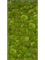 Картина из мха stiel l ral 7016 matt 100% ball moss 100/50/6 (искусственная) Nieuwkoop Europe - фото 72458
