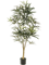 Плеранда elegantissima 145 (искусственная) Nieuwkoop Europe - фото 72501