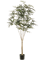Плеранда elegantissima 195 (искусственная) Nieuwkoop Europe - фото 72502