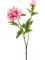 Пион sarah (искусственный) Nieuwkoop Europe 24134 - фото 72558