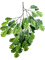 Дуб ветка (56 листьев) искусственная Nieuwkoop Europe - фото 73061