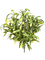 Хлорофитум жёлто-зелёный (искусственный) Nieuwkoop Europe - фото 73179