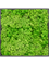 Картина из мха mdf ral 9005 satin gloss 100% reindeer moss (light grass green) искусственная Nieuwkoop Europe - фото 77531