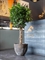 Кашпо JESSLYN (Pottery Pots), 3354 3354 - фото 77619