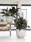 Кашпо JESSLYN (Pottery Pots), 3354 3354 - фото 77620