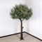 250Разб/465(Promo) Оливковое дерево искусственное разборное h250см - фото 78459