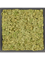 Картина из мха mdf ral 9005 satin gloss 100% reindeer moss (old green) искусственная Nieuwkoop Europe - фото 79237