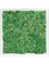 Картина из мха mdf ral 9010 satin gloss 100% reindeer moss (grass green) искусственная Nieuwkoop Europe - фото 79239
