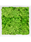 Картина из мха mdf ral 9010 satin gloss 100% reindeer moss (light grass green) искусственная Nieuwkoop Europe - фото 79240