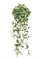 Эйер Традесканция бело-зеленая ампельная (искусственная) Treez Collection - фото 8043