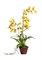 Орхидея Дансинг Канарейка в кашпо (искусственная) Treez Collection - фото 8118